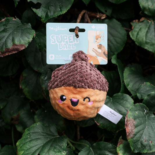 Autumn Tailz – Acorn Ball - Hugsmart