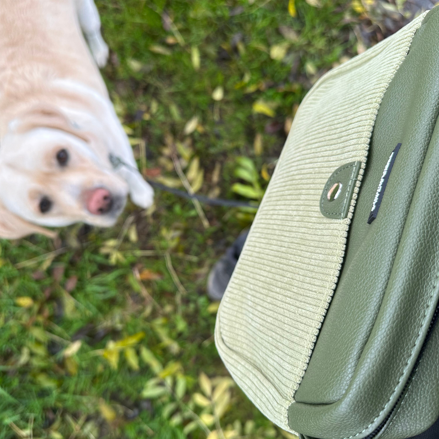 Dogmom bag light gray - Ted's and Tails