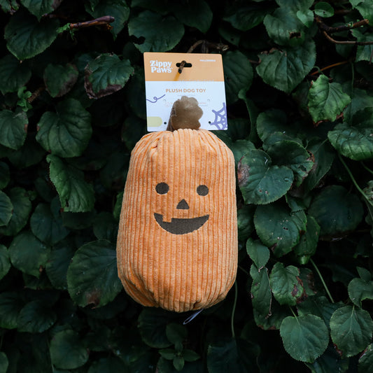 Halloween Jumbo Pumpkin - Zippy Paws