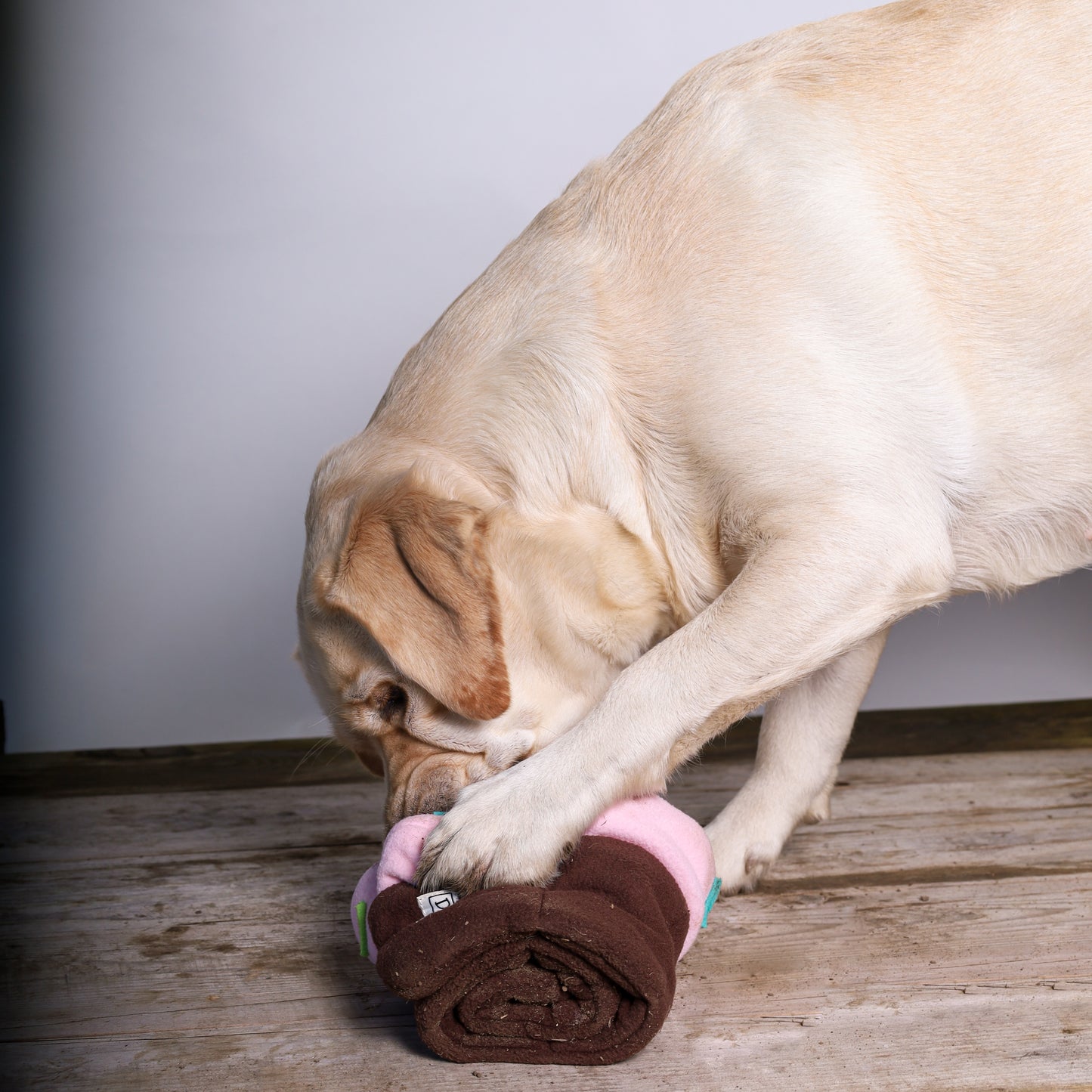 Snuffel Verjaardagstaart - DogNmat