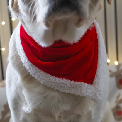 Christmas bandana - Trixie