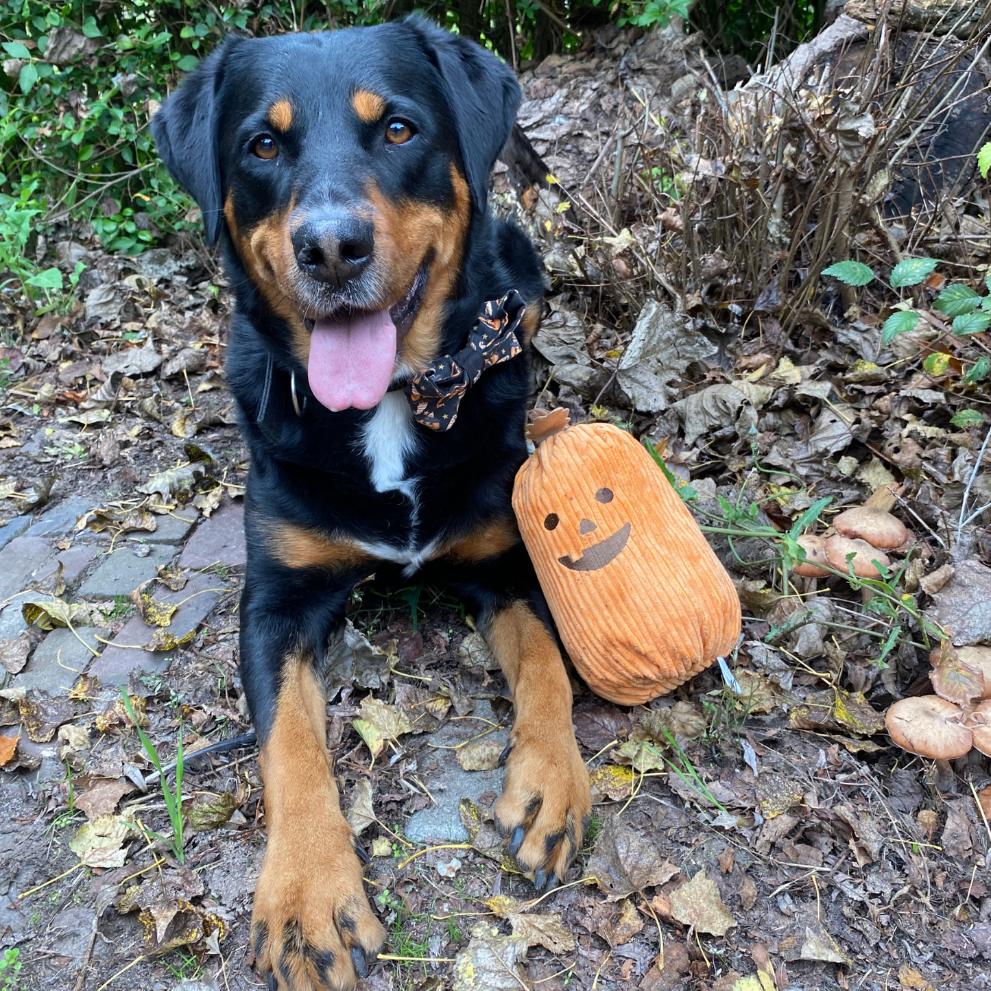 Jumbo Pumpkin - Zippy Paws