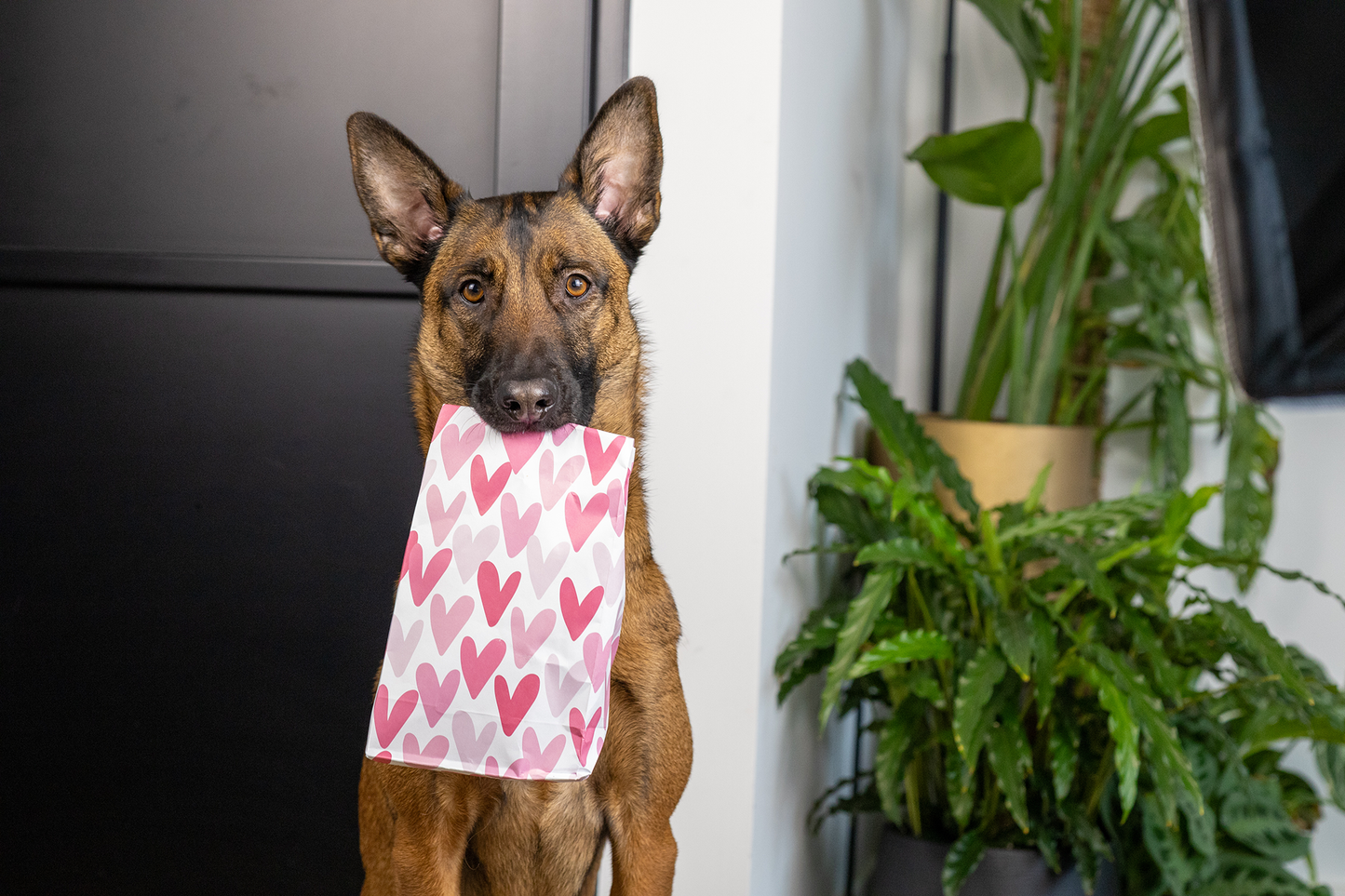 Valentijns Pakket