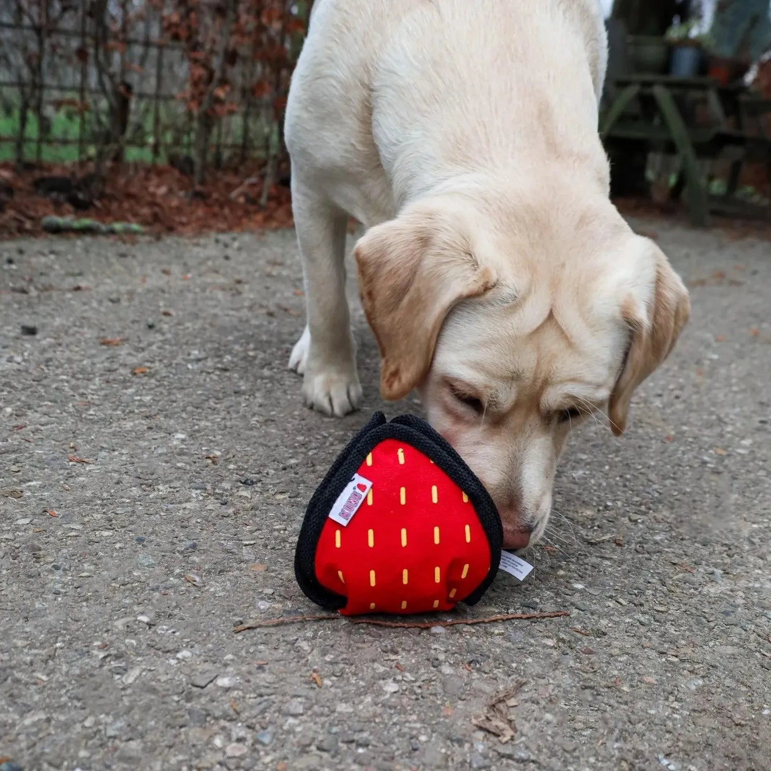 Ballistic Hide 'n Treat - Kong - Enrichment speelgoed,Enrichment voor honden,hersenwerk,interactief,Kong,Mentale stimulatie voor je hond,snuffelen,Verrijking voor honden - By Marley