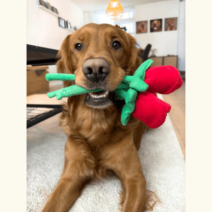 Boeketje rozen - Zippy Paws - hersenwerk voor honden, Honden speelgoed met pieper, interactief, Interactief honden speelgoed, Mentale stimulatie voor je hond, Valentijn, verjaardag, zippy paws - By Marley