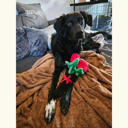 Boeketje rozen - Zippy Paws - hersenwerk voor honden, Honden speelgoed met pieper, interactief, Interactief honden speelgoed, Mentale stimulatie voor je hond, Valentijn, verjaardag, zippy paws - By Marley