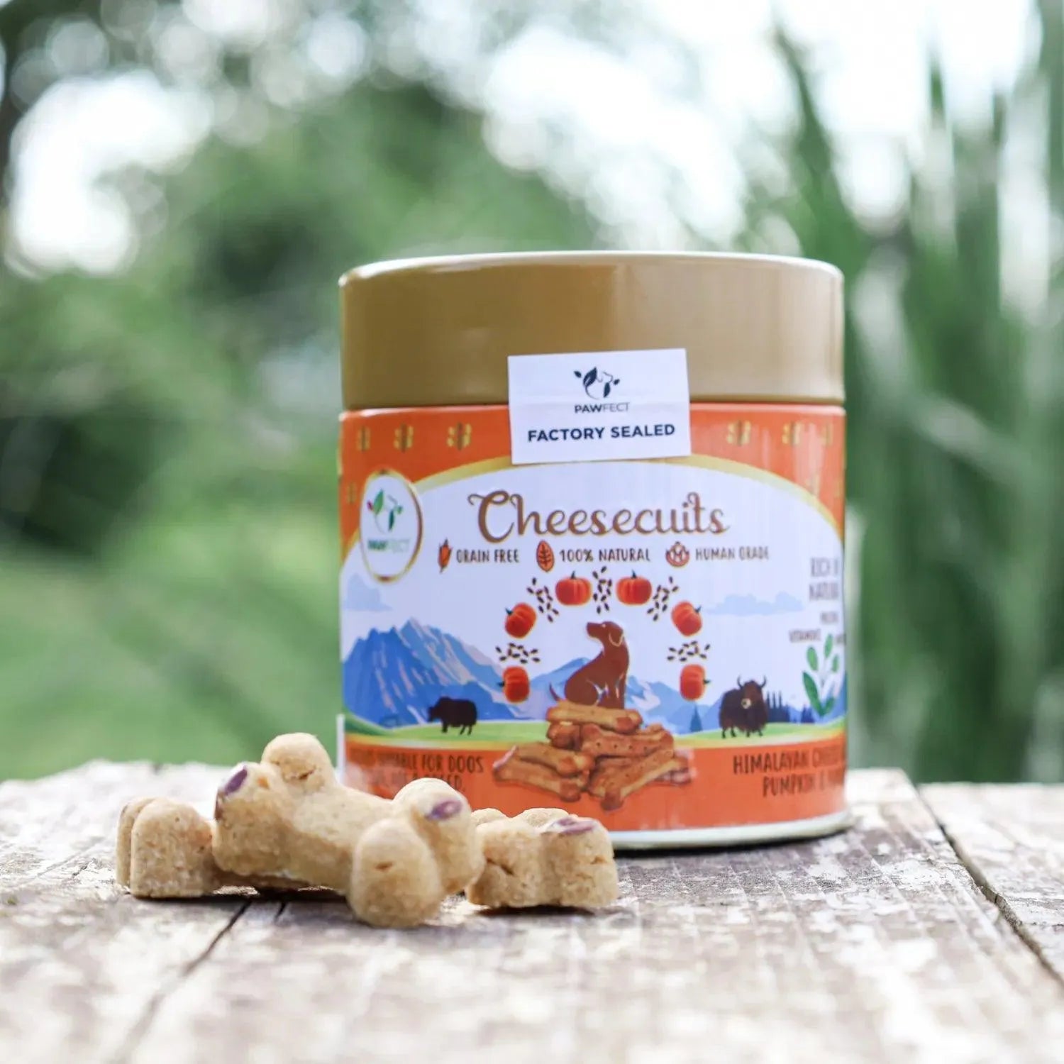 Cheesebiscuits pompoen - Pawfect - glutenvrije hondenkoekjes, hondenkoekjes, Hondensnacks, kaaskoekjes voor honden, Kleine snacks voor honden, Lekkere hondensnack voor tussendoor, Lekkere snack tussendoor voor je hond, Pawfect, Voedselverrijking voor honden - By Marley