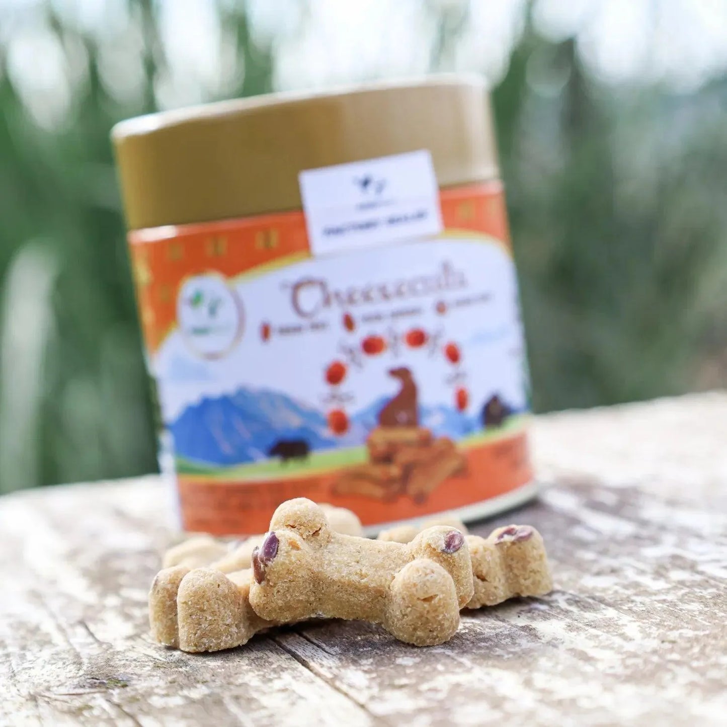 Cheesebiscuits pompoen - Pawfect - glutenvrije hondenkoekjes, hondenkoekjes, Hondensnacks, kaaskoekjes voor honden, Kleine snacks voor honden, Lekkere hondensnack voor tussendoor, Lekkere snack tussendoor voor je hond, Pawfect, Voedselverrijking voor honden - By Marley