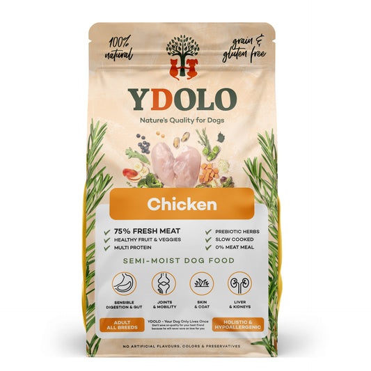 Healthy & Pure Chicken - Hondenbrokken - Ydolo