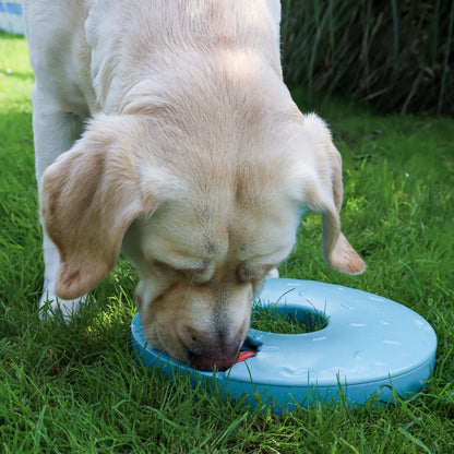 Donut Puzzle Slider - Zippy Paws - Enrichment speelgoed, Enrichment voor honden, hersenwerk, honden puzzel, interactief, Interactief honden speelgoed, puzzel voor honden, Sterk interactief speelgoed voor je hond, verjaardag, verrijking speelgoed voor je hond, Verrijking voor honden, zippy paws - By Marley