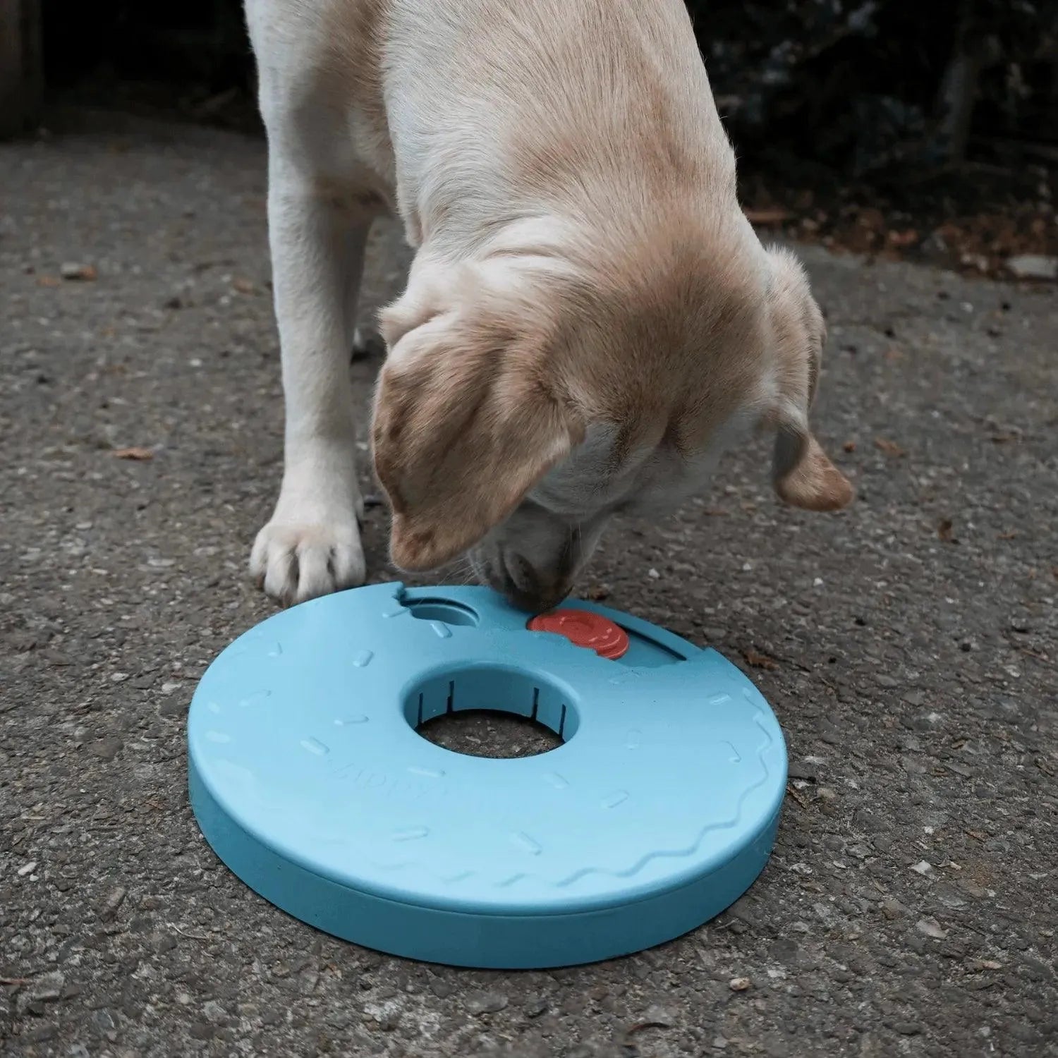 Donut Puzzle Slider - Zippy Paws - Enrichment speelgoed, Enrichment voor honden, hersenwerk, honden puzzel, interactief, Interactief honden speelgoed, puzzel voor honden, Sterk interactief speelgoed voor je hond, verjaardag, verrijking speelgoed voor je hond, Verrijking voor honden, zippy paws - By Marley