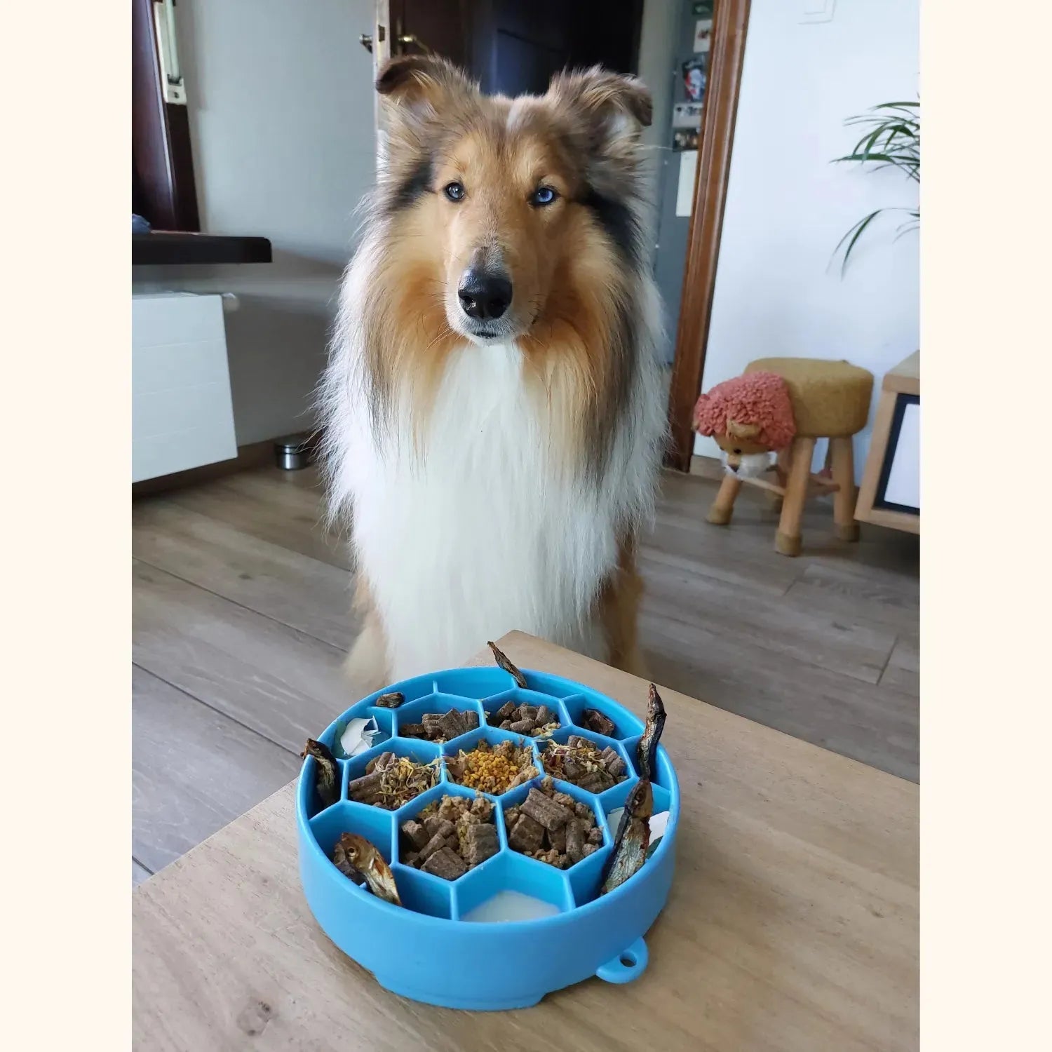 Ebowl Honeycomb Blue - Sodapup - Hoe laat ik mijn hond stoppen met schrokken?, je hond rustiger laten eten, slowfeeder, slowfeeder voor honden, Sodapup, Voedselverrijking voor je hond - By Marley