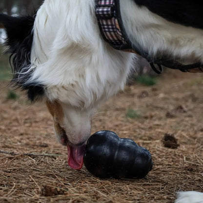 Extreme zwart - Kong - Enrichment speelgoed, Enrichment voor beginners, Enrichment voor honden, geschikt voor honden die slopen, hersenwerk, Hondenspeelgoed geschikt voor slopers, Kong, sterk, treat dispenser voor je hond, Verrijking voor honden, Voedselverrijking voor je hond - By Marley