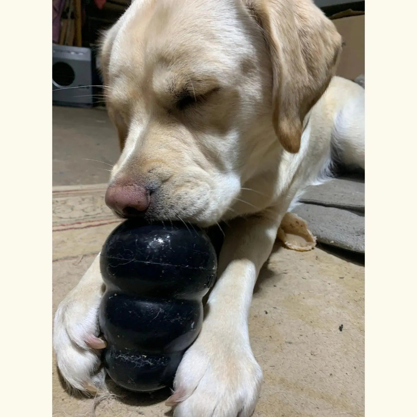 Extreme zwart - Kong - Enrichment speelgoed, Enrichment voor beginners, Enrichment voor honden, geschikt voor honden die slopen, hersenwerk, Hondenspeelgoed geschikt voor slopers, Kong, sterk, treat dispenser voor je hond, Verrijking voor honden, Voedselverrijking voor je hond - By Marley