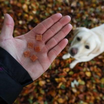 Filet trainers kalkoen - beloning, Beloning snack voor je hond, Beloning voor honden, Beloning voor hondentraining, Beloning voor puppy's, Hondensnacks, natuurlijk, natuurlijke beloning snack voor je hond, Natuurlijke beloning voor je hond - By Marley