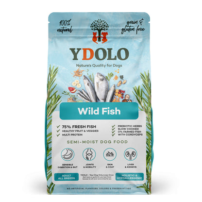 Healthy & Pure Wild Fish - Brokken - Ydolo