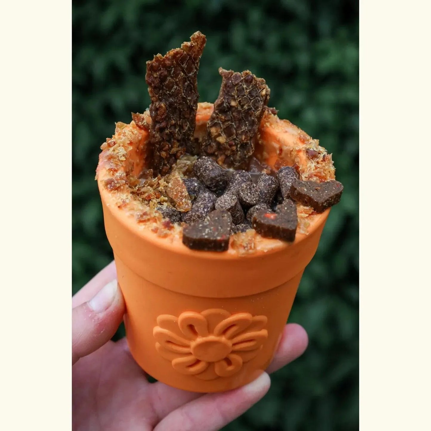 Flower pot - Terra Cotta - Sodapup - Enrichment voor honden, hersenwerk voor honden, Hoe begin je met enrichment?, slowfeeder voor je hond, Sodapup, treat dispenser voor je hond, Verrijking voor honden, Voedselverrijking voor je hond - By Marley