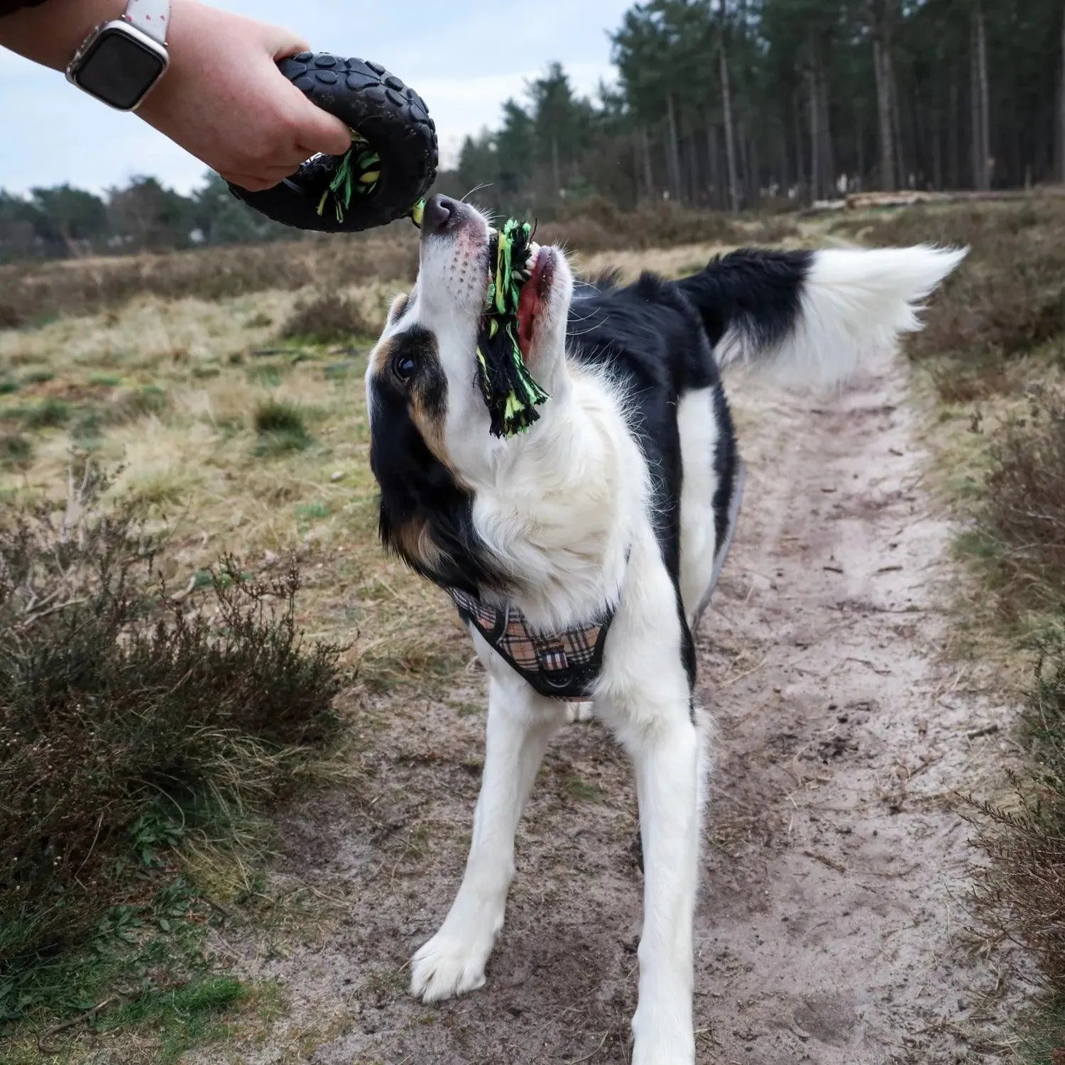 Grrrelli Tyre Tugger - Happy Pet - happy pet, sterk, Sterk speelgoed voor je hond - By Marley