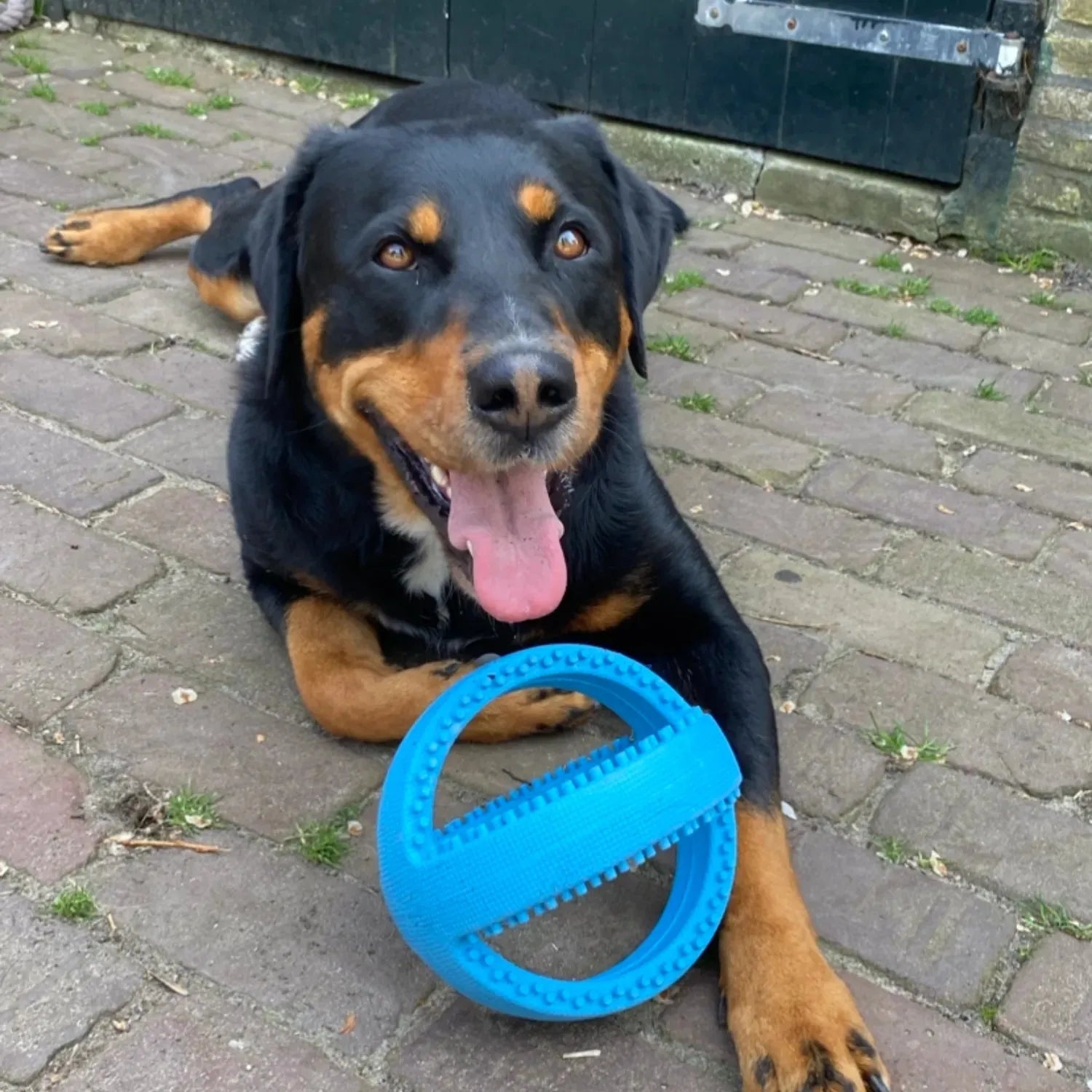 Grubber bal groot - Happy Pet - happy pet, Hondenspeelgoed geschikt voor slopers, speelgoed, sterk, Sterk speelgoed voor je hond - By Marley