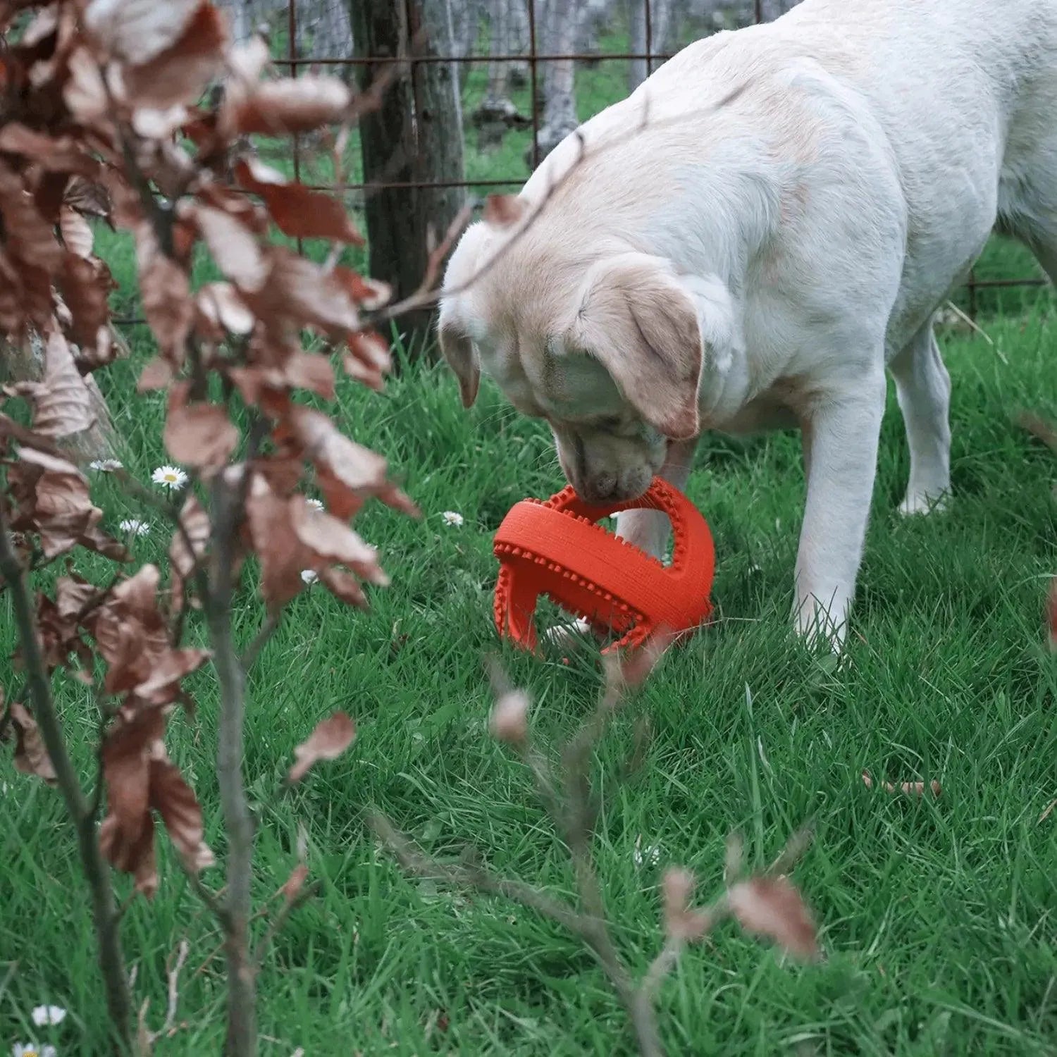 Grubber bal groot - Happy Pet - happy pet, Hondenspeelgoed geschikt voor slopers, speelgoed, sterk, Sterk speelgoed voor je hond - By Marley