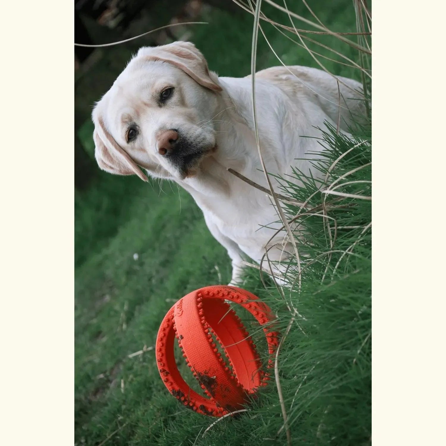 Grubber bal groot - Happy Pet - happy pet, Hondenspeelgoed geschikt voor slopers, speelgoed, sterk, Sterk speelgoed voor je hond - By Marley