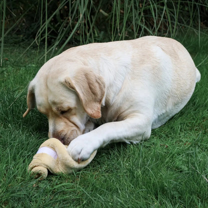 Hersenwerk Croissantje - Trixie - Enrichment speelgoed, Enrichment voor honden, hersenwerk, hersenwerk spelletje voor honden, hersenwerk voor honden, Leer meer over enrichment voor honden, nieuw, verrijking speelgoed voor je hond, Verrijking voor een hond op leeftijd, Verrijking voor honden, Verrijking voor je puppy, Verrijking voor puppy's - By Marley