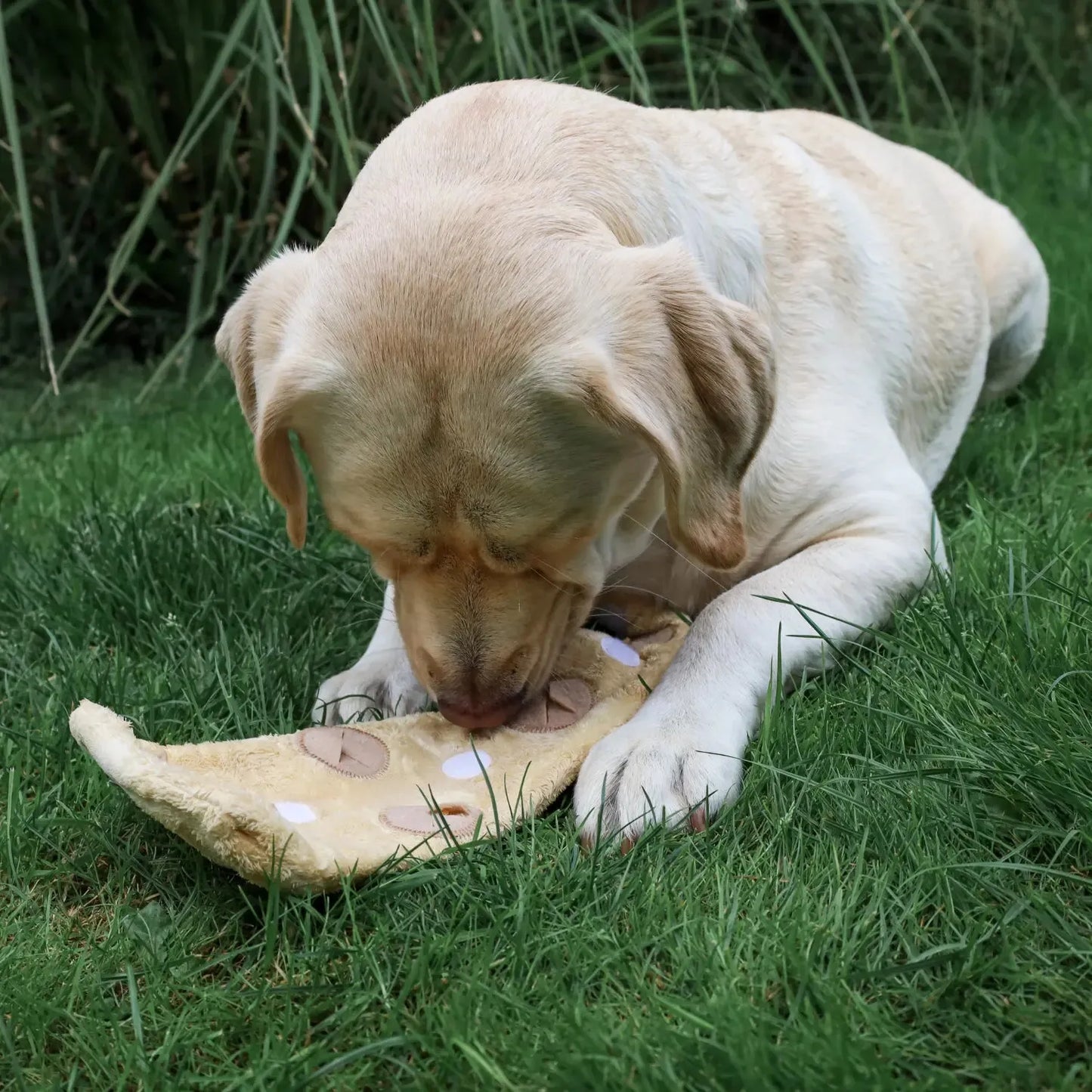 Hersenwerk Croissantje - Trixie - Enrichment speelgoed, Enrichment voor honden, hersenwerk, hersenwerk spelletje voor honden, hersenwerk voor honden, Leer meer over enrichment voor honden, nieuw, verrijking speelgoed voor je hond, Verrijking voor een hond op leeftijd, Verrijking voor honden, Verrijking voor je puppy, Verrijking voor puppy's - By Marley