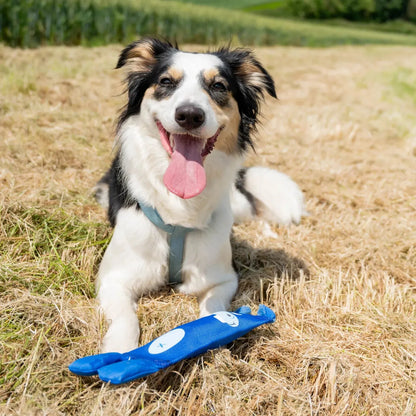 Hozies - blijft drijven, drijvend hondenspeeltje, hondenspeelgoed voor in het water, hozies, leuk zomer speelgoed voor je hond, nieuw, ook geschikt voor honden die speelgoed slopen, sterk, Sterk speelgoed voor je hond, Stevig honden speelgoed - By Marley