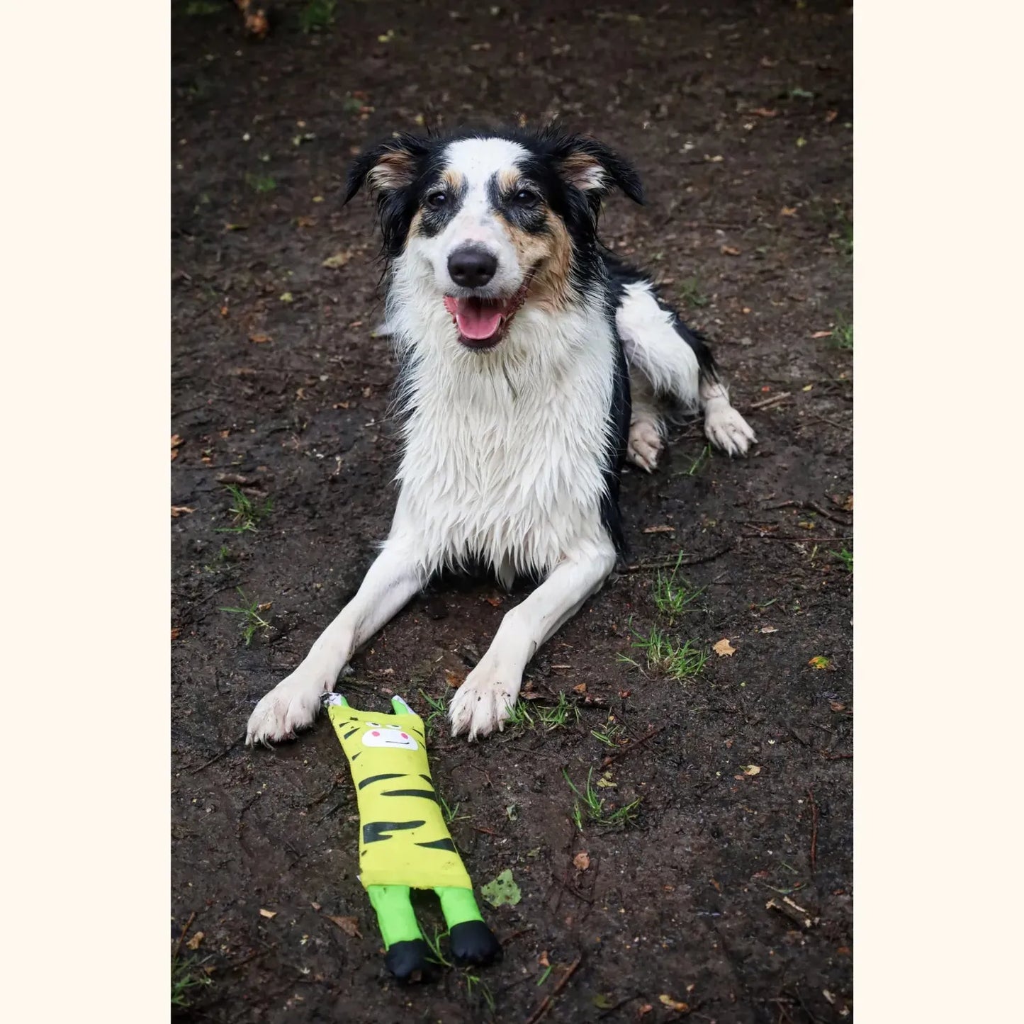 Hozies - blijft drijven, drijvend hondenspeeltje, hondenspeelgoed voor in het water, hozies, leuk zomer speelgoed voor je hond, nieuw, ook geschikt voor honden die speelgoed slopen, sterk, Sterk speelgoed voor je hond, Stevig honden speelgoed - By Marley