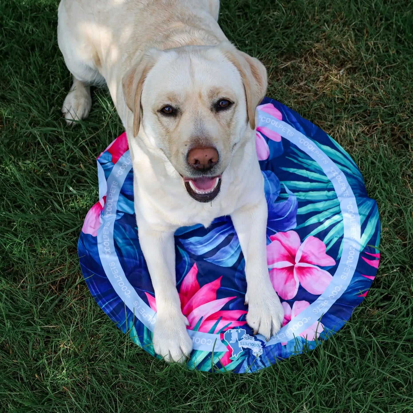 Koelmat Tropical - CoolPets - afkoelen, extra, hoe kan ik mijn hond afkoelen in de zomer, koelmat voor honden, sale, verkoeling voor de hond - By Marley