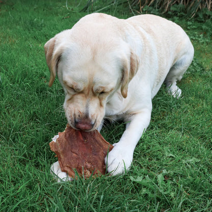 Lamsvlees platen - Gezonde snack voor honden met overgewicht, Hondensnacks, hypoallergeen, hypoallergene hondensnack, kauwsnack voor honden, Kauwsnack voor je hond, natuurlijk, Natuurlijke hondensnack, Natuurlijke kauwsnack voor een puppy, nieuw, snacks voor je pup - By Marley