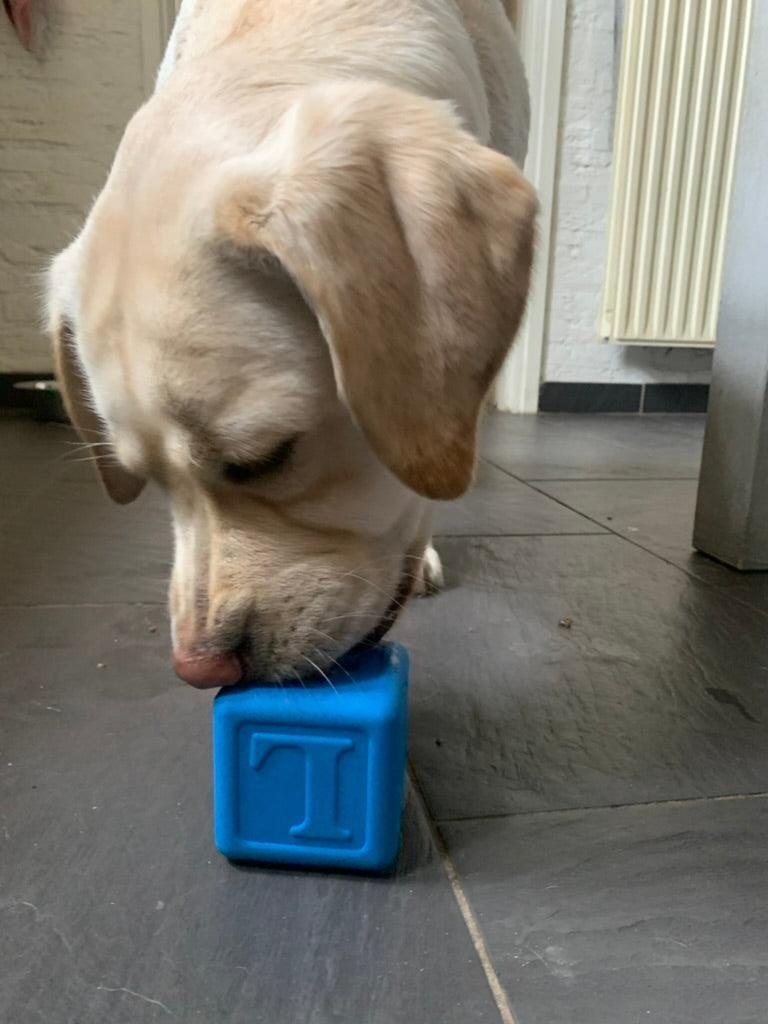 Love Cube - Sodapup - Enrichment voor honden, hersenwerk, Sodapup, treat dispenser voor je hond, Verrijking voor honden - By Marley