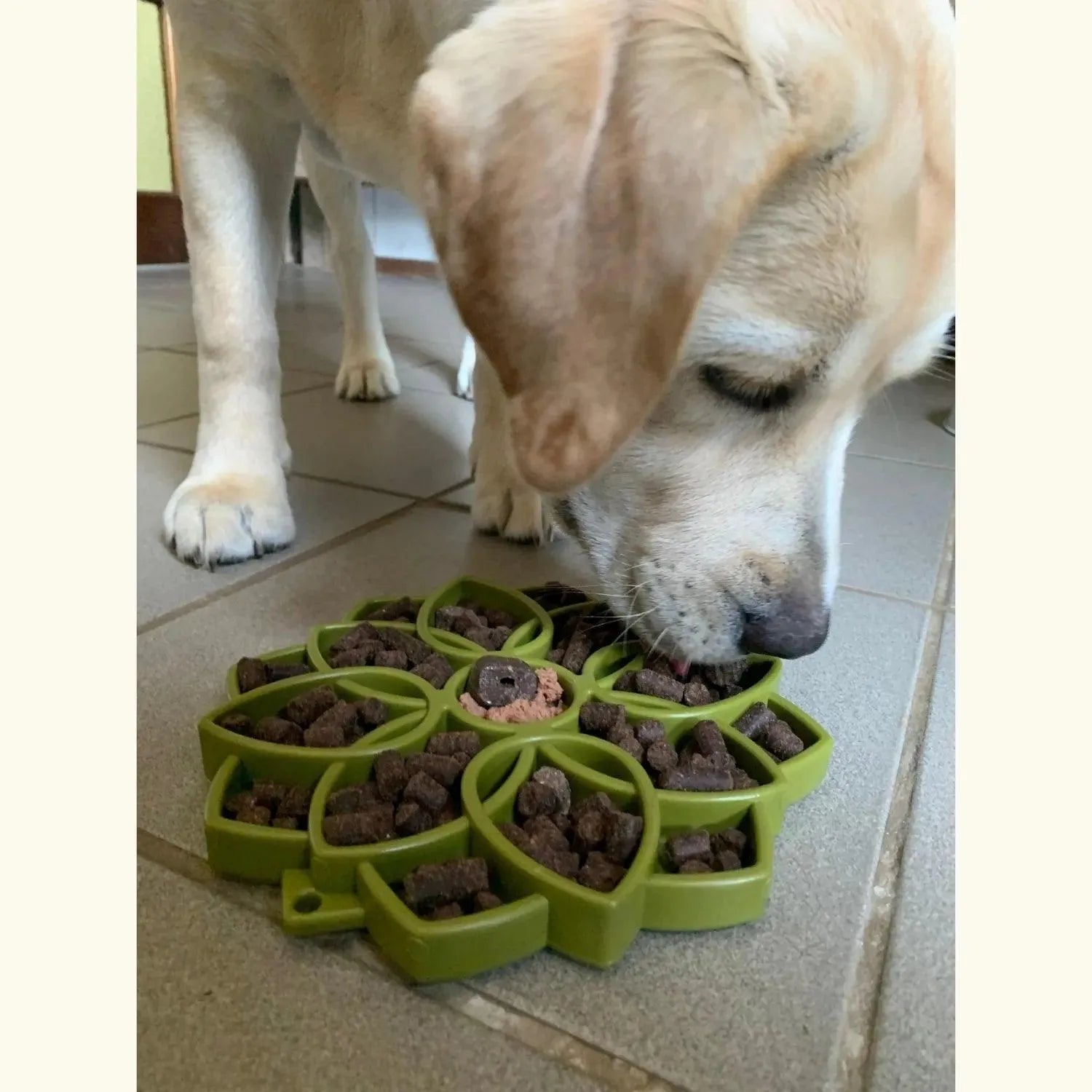 Mandala groen - Sodapup - Enrichment voor beginners, Enrichment voor honden, Hoe kan ik mijn hond rustig houden?, Je hond langzamer laten eten, Mentale stimulatie voor je hond, slowfeeder, slowfeeder voor je hond, Sodapup - By Marley