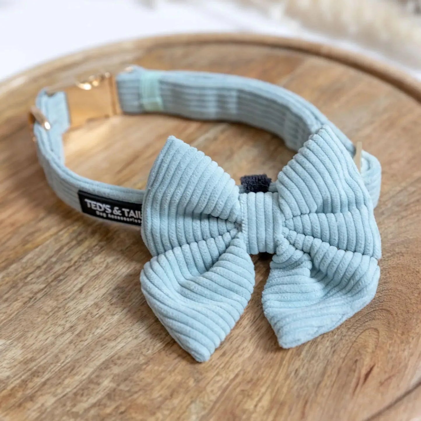 Minty May collectie - Ted's and Tails - boetiek, handsfree hondenriem, lente outfit voor je hond, Stoer hondentuigje, teds and tails - By Marley