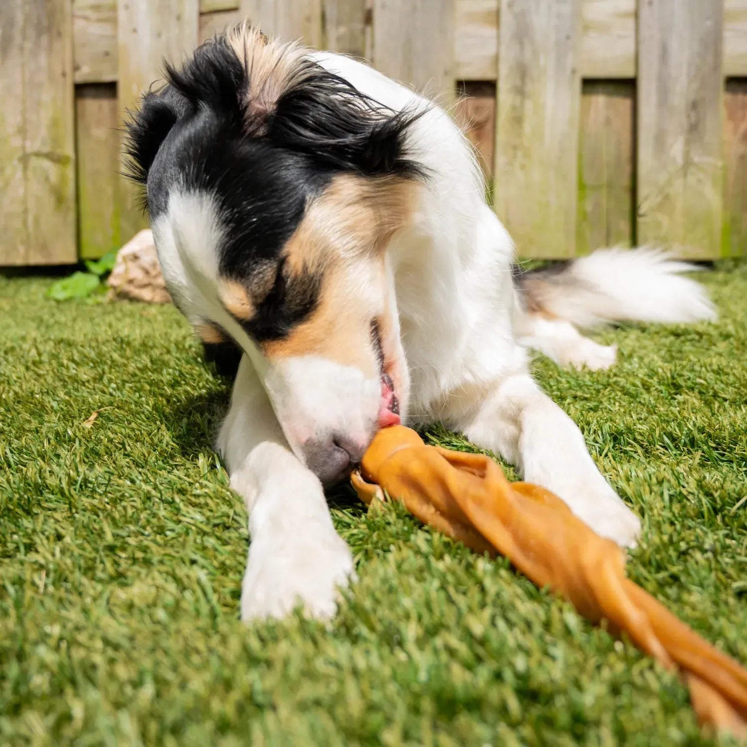 Paarden kophuid rol - Hondensnacks, hypoallergeen, hypoallergene hondensnack, Kauwsnack hyperallergeen voor je hond, kauwsnack voor honden, Langdurige kauwsnack voor je hond, natuurlijk, Natuurlijke en langdurige kauwsnack voor honden, Natuurlijke hondensnack - By Marley