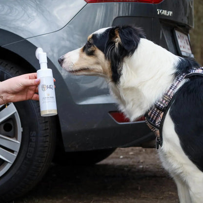 Potenreiniger - HEJ Pet - Bescherm de poten van je hond, boetiek, extra, hej pet, paw cleaner, pootreiniger, verzorging bij je hond, verzorging voor je hond - By Marley