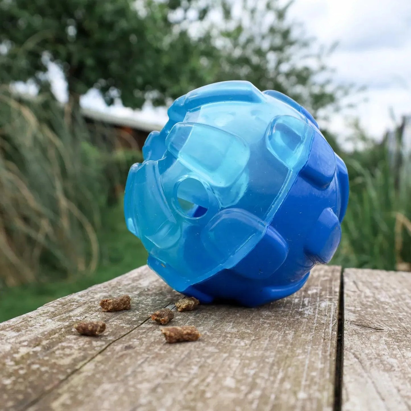 Rewards ball - Kong - Enrichment speelgoed, Enrichment voor beginners, hersenwerk, Hondenspeelgoed geschikt voor slopers, interactief, Interactief honden speelgoed, Kong, sterk, Sterk interactief speelgoed voor je hond, Verrijking voor honden - By Marley