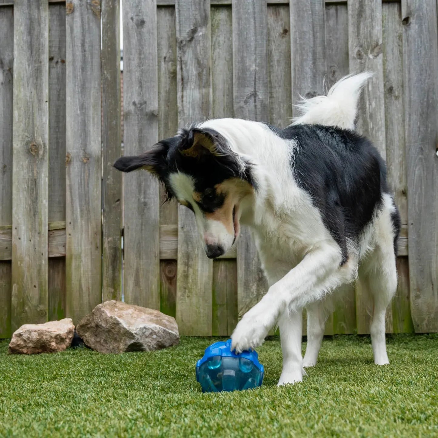 Rewards ball - Kong - Enrichment speelgoed, Enrichment voor beginners, hersenwerk, Hondenspeelgoed geschikt voor slopers, interactief, Interactief honden speelgoed, Kong, sterk, Sterk interactief speelgoed voor je hond, Verrijking voor honden - By Marley