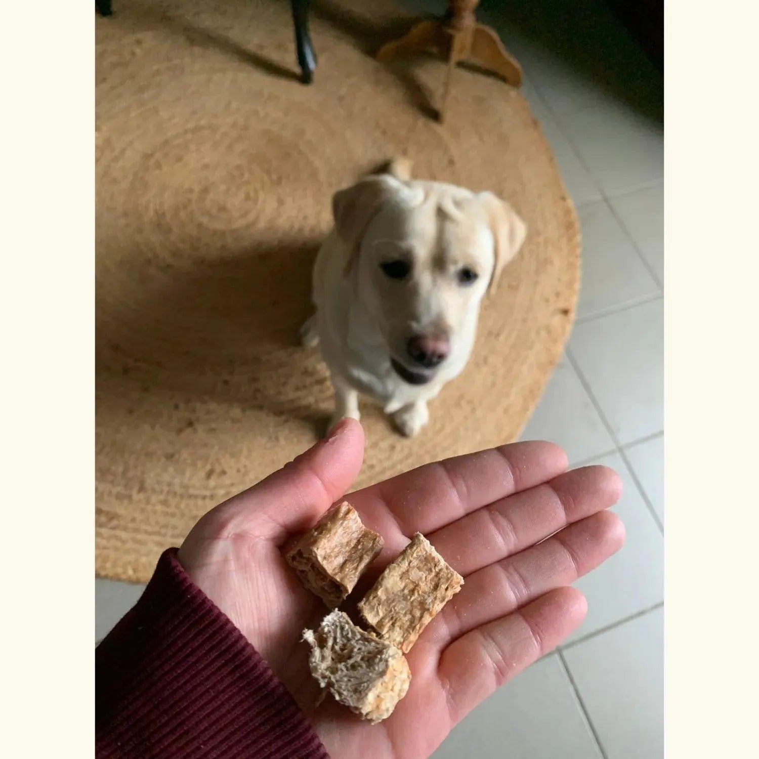 Roodbaars trainers (grof) - beloning, Beloningsnack voor je hond, by marley, De ultieme beloning voor je hond, Hondensnacks, Hoogwaardige beloning voor je hond, natuurlijk, Natuurlijke hondensnack, puppy, sale, Sterk ruikende beloning voor honden - By Marley