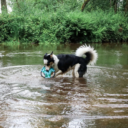 Rope Gilderz Monstera - Zippy Paws - honden speelgoed ook geschikt voor water spelletjes, speelgoed dat blijft drijven voor je hond, Stevig honden speelgoed, Stevig hondenspeelgoed - By Marley