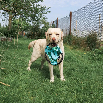 Rope Gilderz Monstera - Zippy Paws - honden speelgoed ook geschikt voor water spelletjes, speelgoed dat blijft drijven voor je hond, Stevig honden speelgoed, Stevig hondenspeelgoed - By Marley