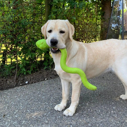 Snack slang - Trixie - Enrichment speelgoed, hersenwerk, Honden speelgoed met pieper, Interactief honden speelgoed, Sterk interactief speelgoed voor je hond, treat dispenser voor je hond, Trixie, verrijking speelgoed voor je hond - By Marley