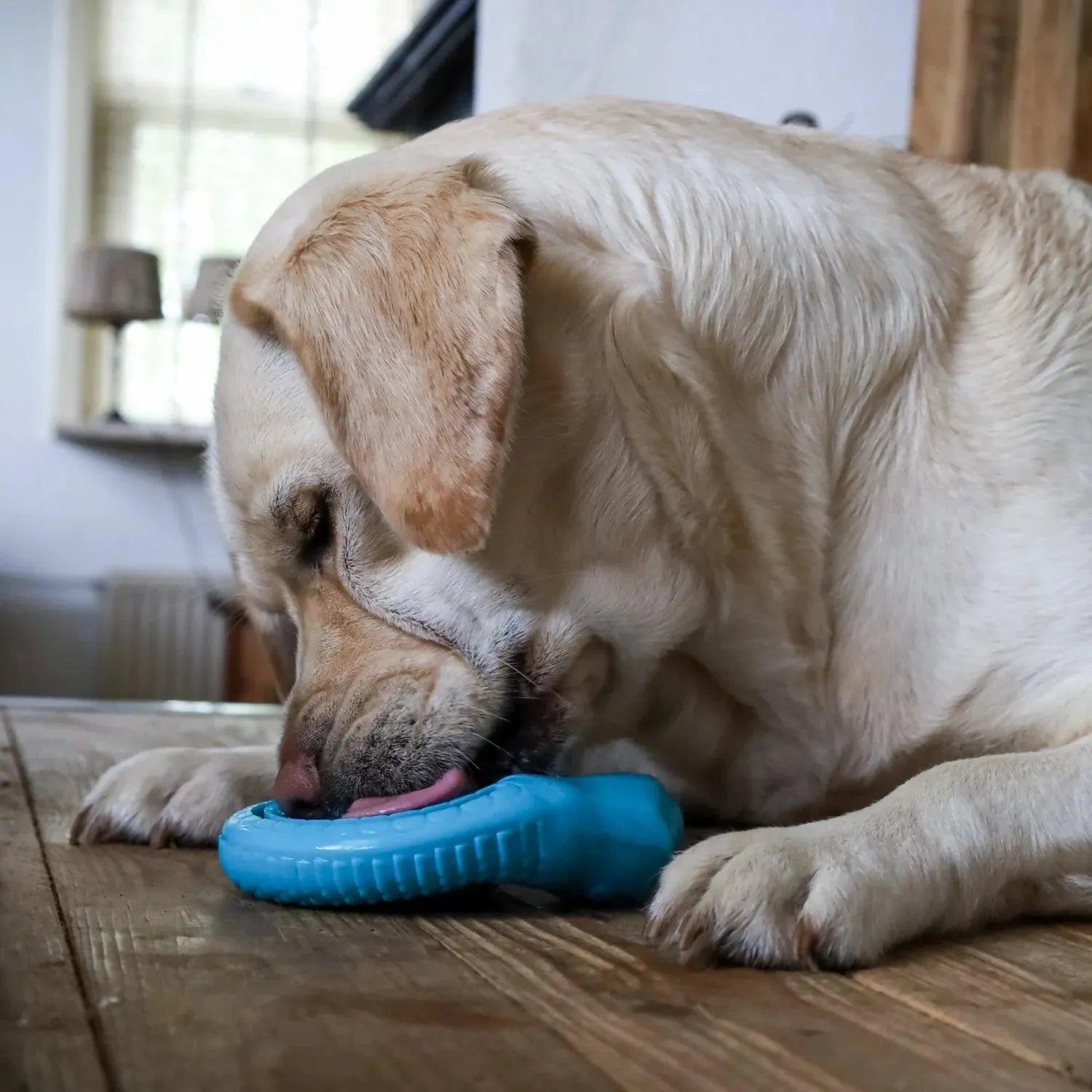 Snack slang - Trixie - Enrichment speelgoed, hersenwerk, Honden speelgoed met pieper, Interactief honden speelgoed, Sterk interactief speelgoed voor je hond, treat dispenser voor je hond, Trixie, verrijking speelgoed voor je hond - By Marley