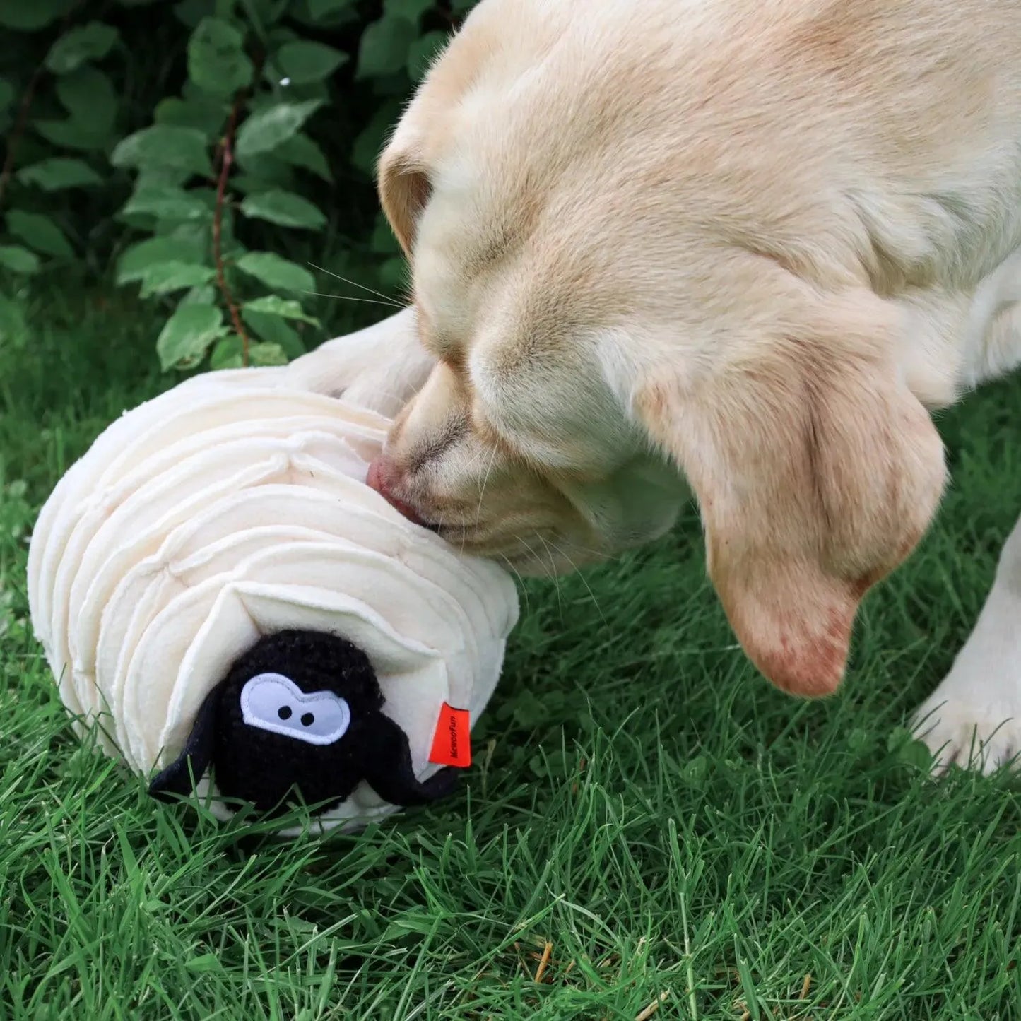 Snuffel Schaap - Enrichment voor honden, hersenwerk voor honden, hondenspeelgoed in de vorm van een schaap, Ontspanning door te snuffelen, Snuffel speelgoed voor honden, Snuffel speelgoed voor je hond, snuffelbal, snuffelen, Snuffelmat voor beginners, Snuffelmat voor puppy's, stress verlagen bij je hond door te snuffelen, Verrijking voor honden - By Marley