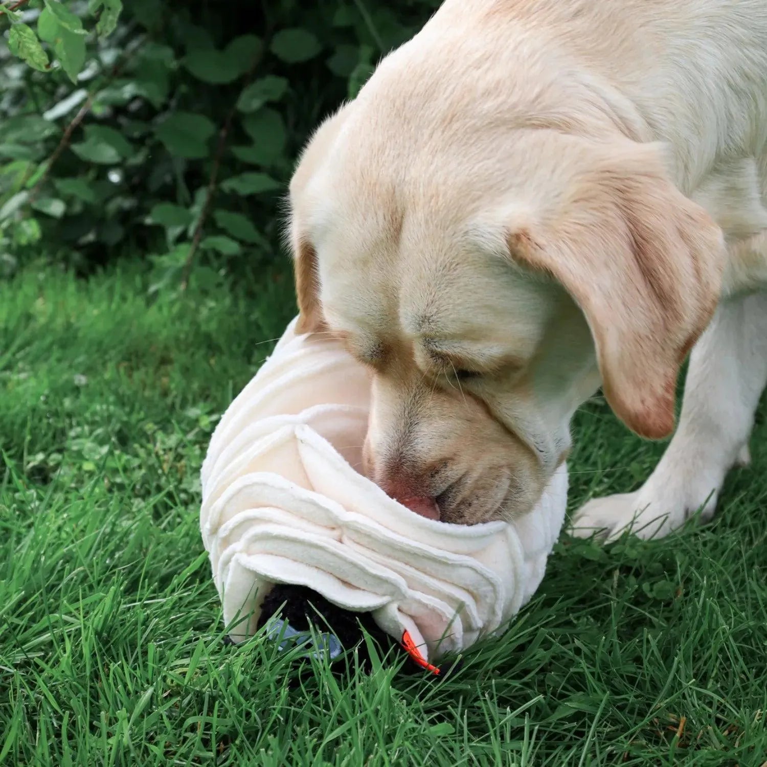 Snuffel Schaap - Enrichment voor honden, hersenwerk voor honden, hondenspeelgoed in de vorm van een schaap, Ontspanning door te snuffelen, Snuffel speelgoed voor honden, Snuffel speelgoed voor je hond, snuffelbal, snuffelen, Snuffelmat voor beginners, Snuffelmat voor puppy's, stress verlagen bij je hond door te snuffelen, Verrijking voor honden - By Marley