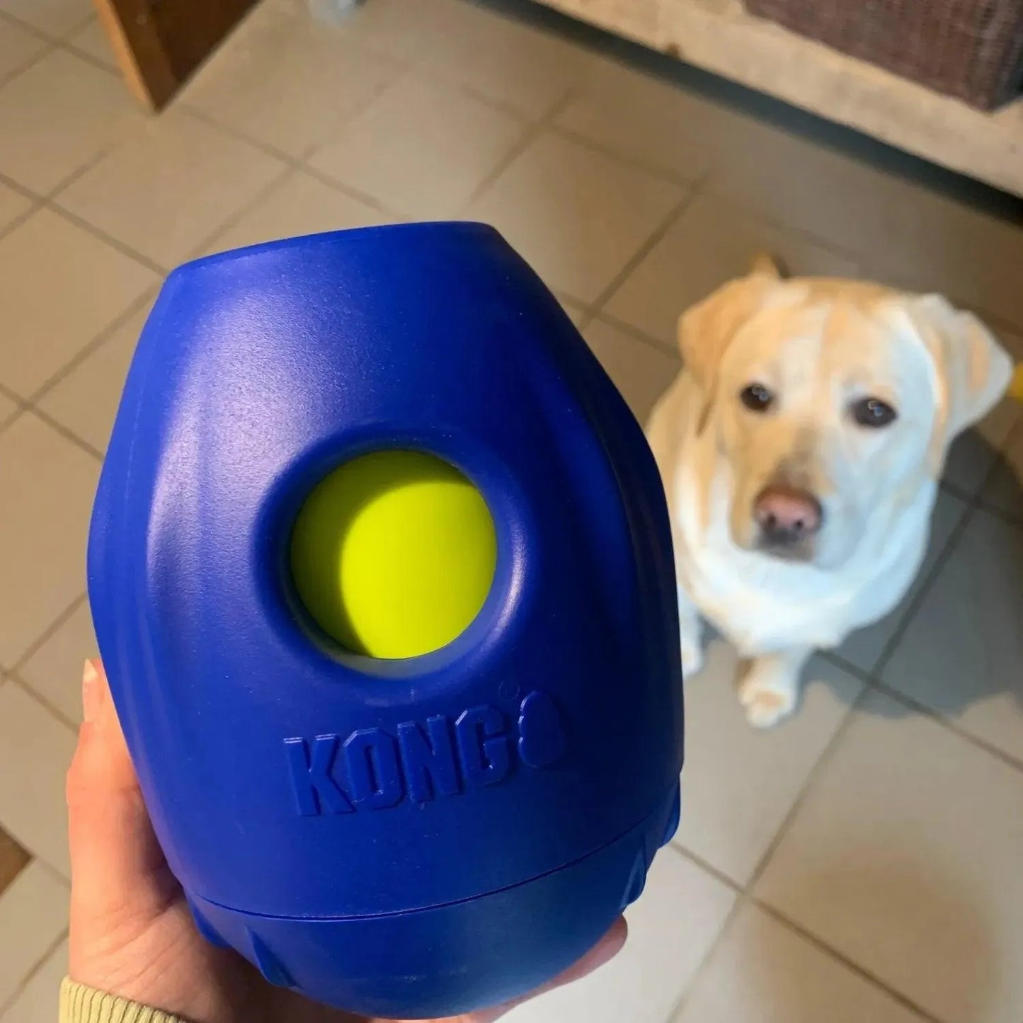 Tikr - Kong - hersenwerk, Hondenspeelgoed geschikt voor slopers, interactief, Interactief honden speelgoed, Kong, Mijn hond sloopt alles, sale, sterk, Sterk interactief speelgoed voor je hond, Verrijking voor honden, Verrijking voor je hond - By Marley