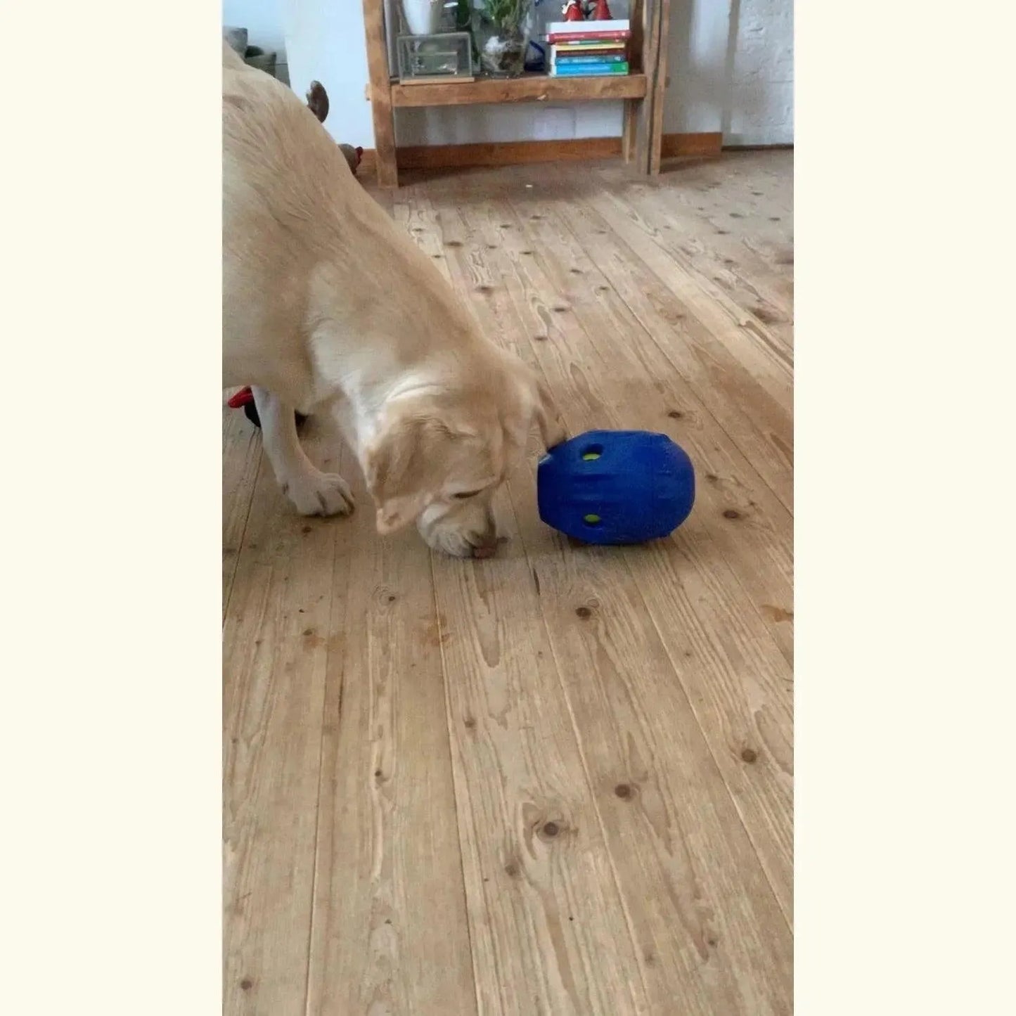 Tikr - Kong - hersenwerk, Hondenspeelgoed geschikt voor slopers, interactief, Interactief honden speelgoed, Kong, Mijn hond sloopt alles, sale, sterk, Sterk interactief speelgoed voor je hond, Verrijking voor honden, Verrijking voor je hond - By Marley