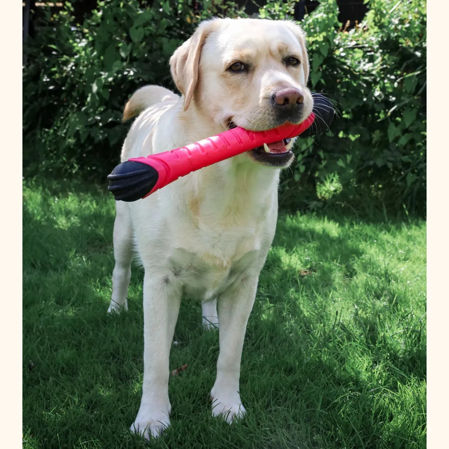 Werpstick - Dog Comets - blijft drijven, drijvend hondenspeeltje, dummy speelgoed voor hond, hondenspeelgoed voor in het water, hozies, leuk zomer speelgoed voor je hond, ook geschikt voor honden die speelgoed slopen, sterk, Sterk speelgoed voor je hond, Stevig honden speelgoed - By Marley