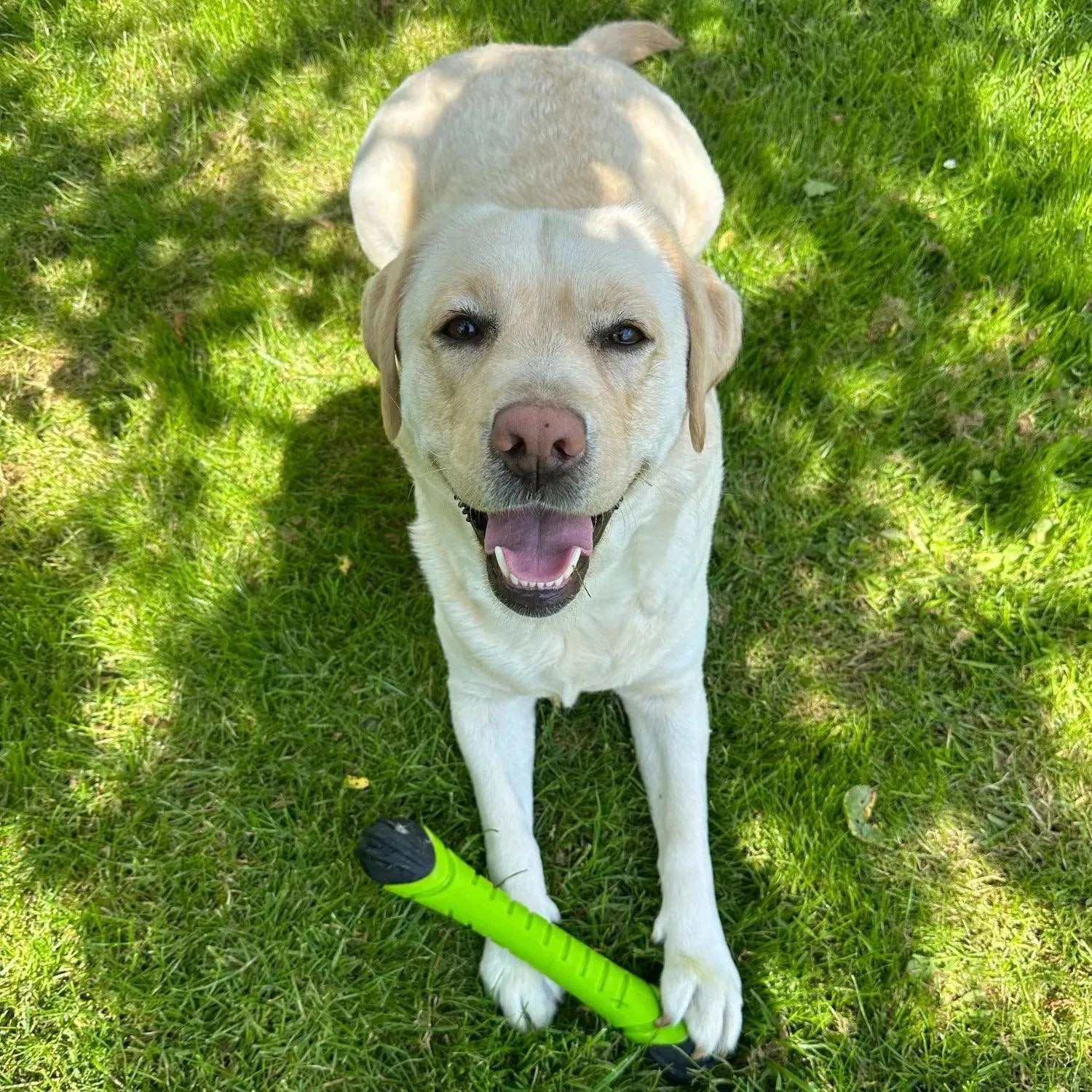 Werpstick - Dog Comets - blijft drijven, drijvend hondenspeeltje, dummy speelgoed voor hond, hondenspeelgoed voor in het water, hozies, leuk zomer speelgoed voor je hond, ook geschikt voor honden die speelgoed slopen, sterk, Sterk speelgoed voor je hond, Stevig honden speelgoed - By Marley