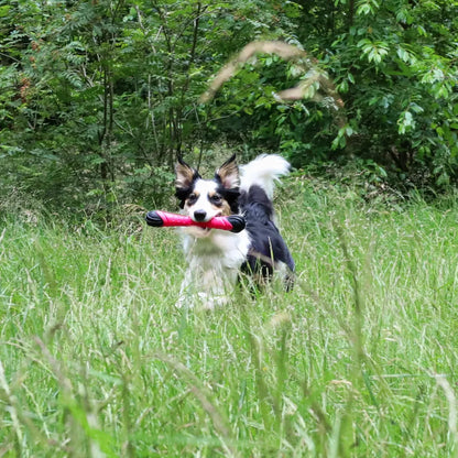 Werpstick - Dog Comets - blijft drijven, drijvend hondenspeeltje, dummy speelgoed voor hond, hondenspeelgoed voor in het water, hozies, leuk zomer speelgoed voor je hond, ook geschikt voor honden die speelgoed slopen, sterk, Sterk speelgoed voor je hond, Stevig honden speelgoed - By Marley